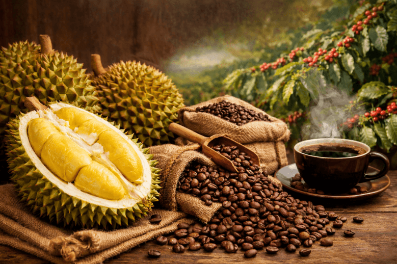 Cómo la fruta más aromática del mundo está provocando el aumento de los precios del café Cómo la fruta más aromática del mundo está provocando el aumento de los precios del café